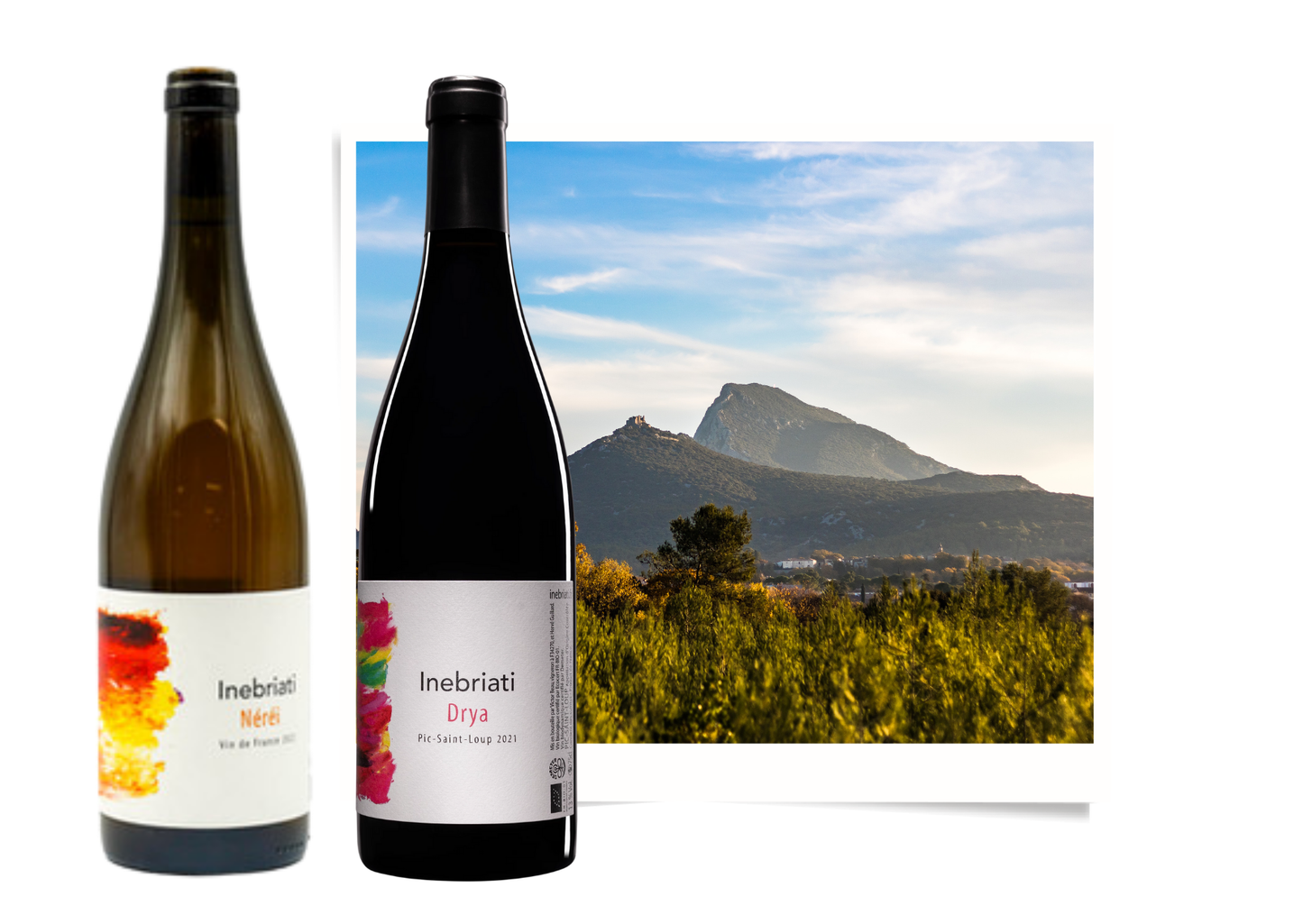 Domaine Inebriati - Nerei 2024 - Blanc - Vin de France