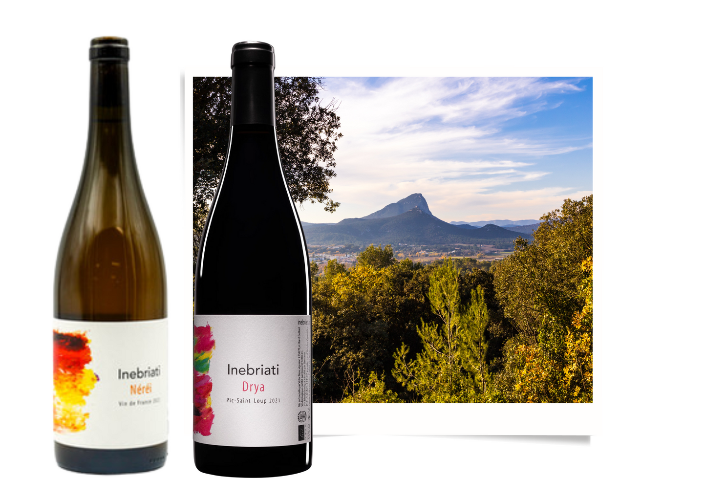 Domaine Inebriati - Nerei 2024 - Blanc - Vin de France