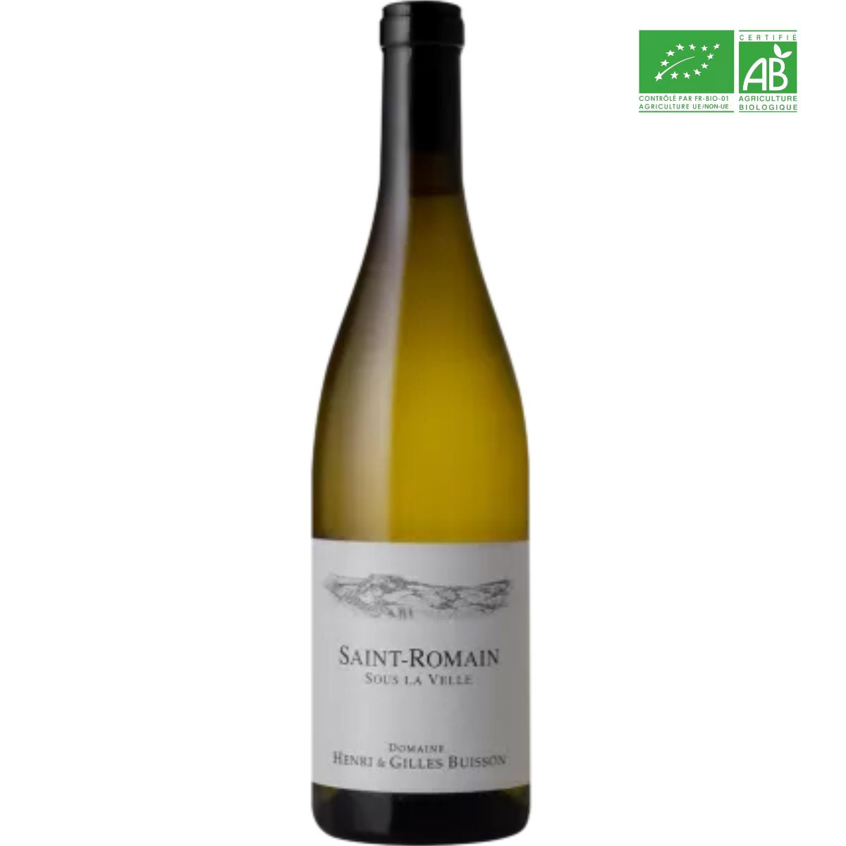 Domaine H&G Buisson - Saint Romain Sous la Velle 2023 - Blanc
