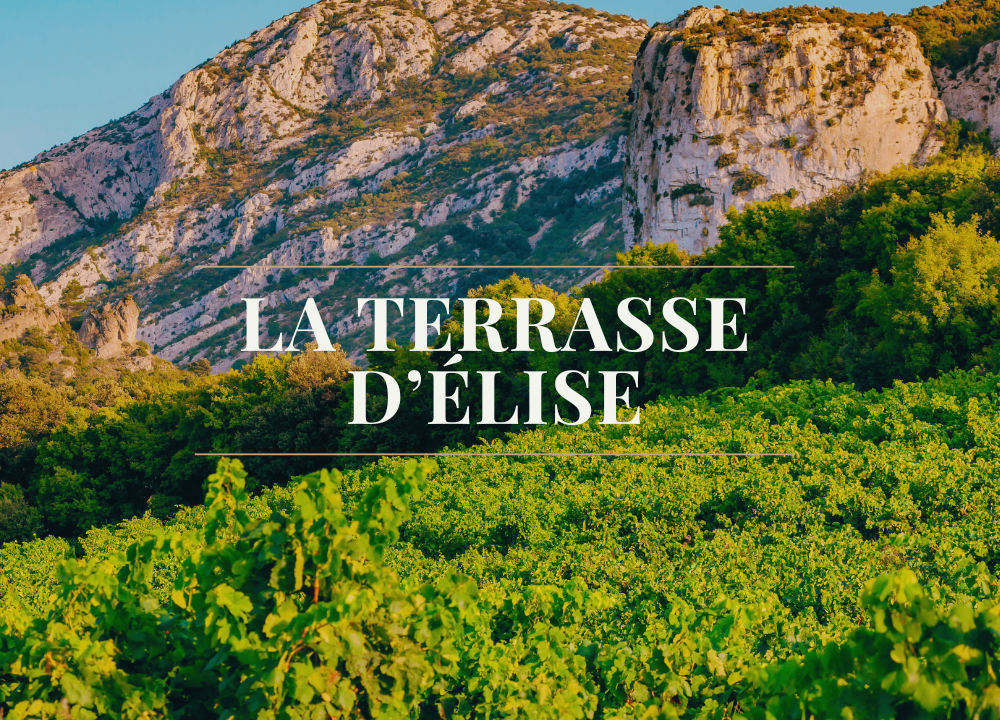 Coup de coeur pour le Domaine de la Terrasse d'Elise