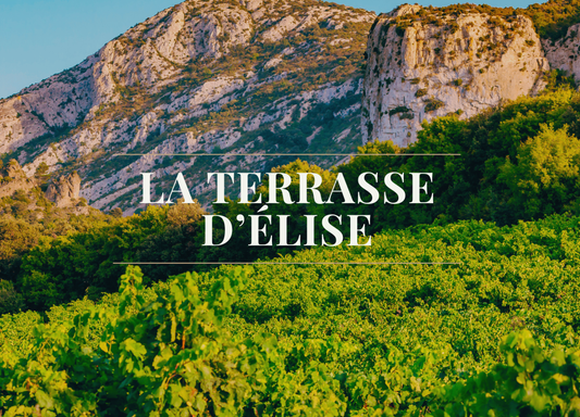 Coup de coeur pour le Domaine de la Terrasse d'Elise
