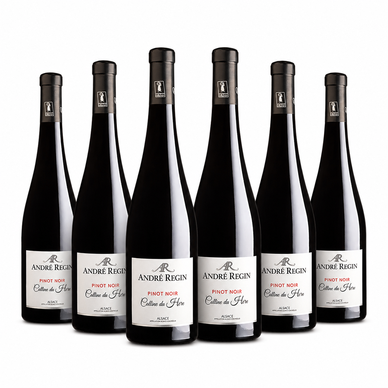 Domaine André Regin - Colline du Horn – Alsace Rouge 2023